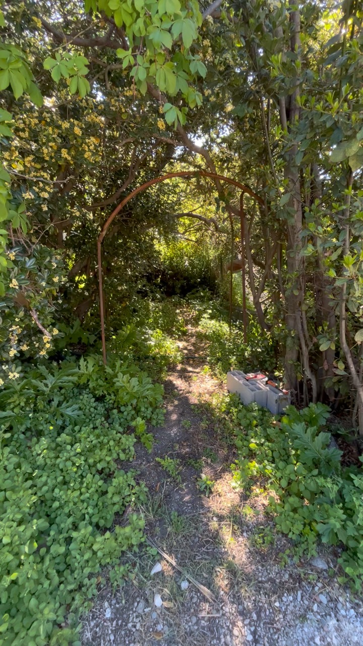 Chantier Roucas - Photo 10